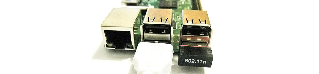 The Pi B has several USB ports to use